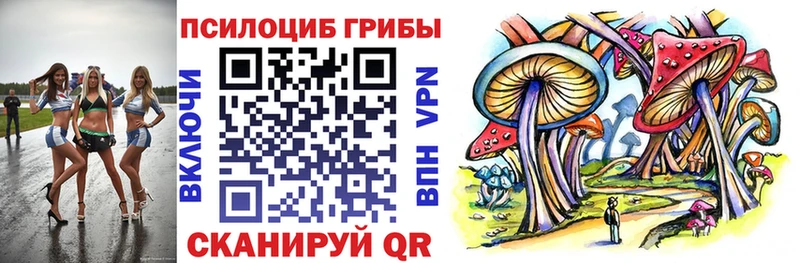 MEGA как войти  Новокузнецк  Галлюциногенные грибы ЛСД 